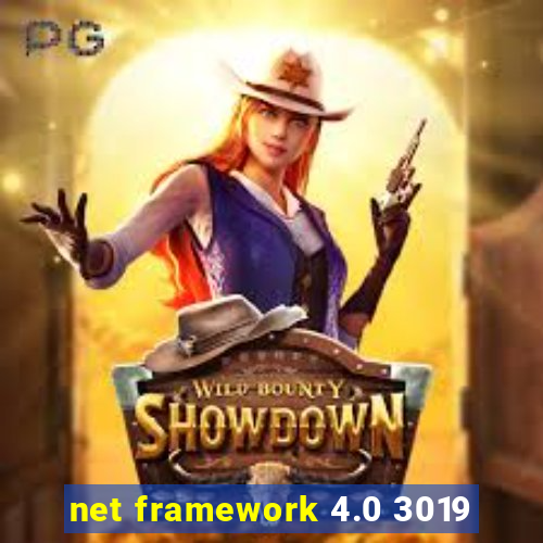 net framework 4.0 3019